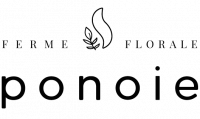 xSans-titre-2-1.png.pagespeed.ic.6YQ9ycf2Wv xSans-titre-2-1.png.pagespeed.ic.6YQ9ycf2Wv